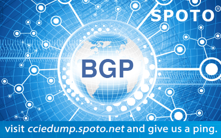A method of Filtering BGP Route.