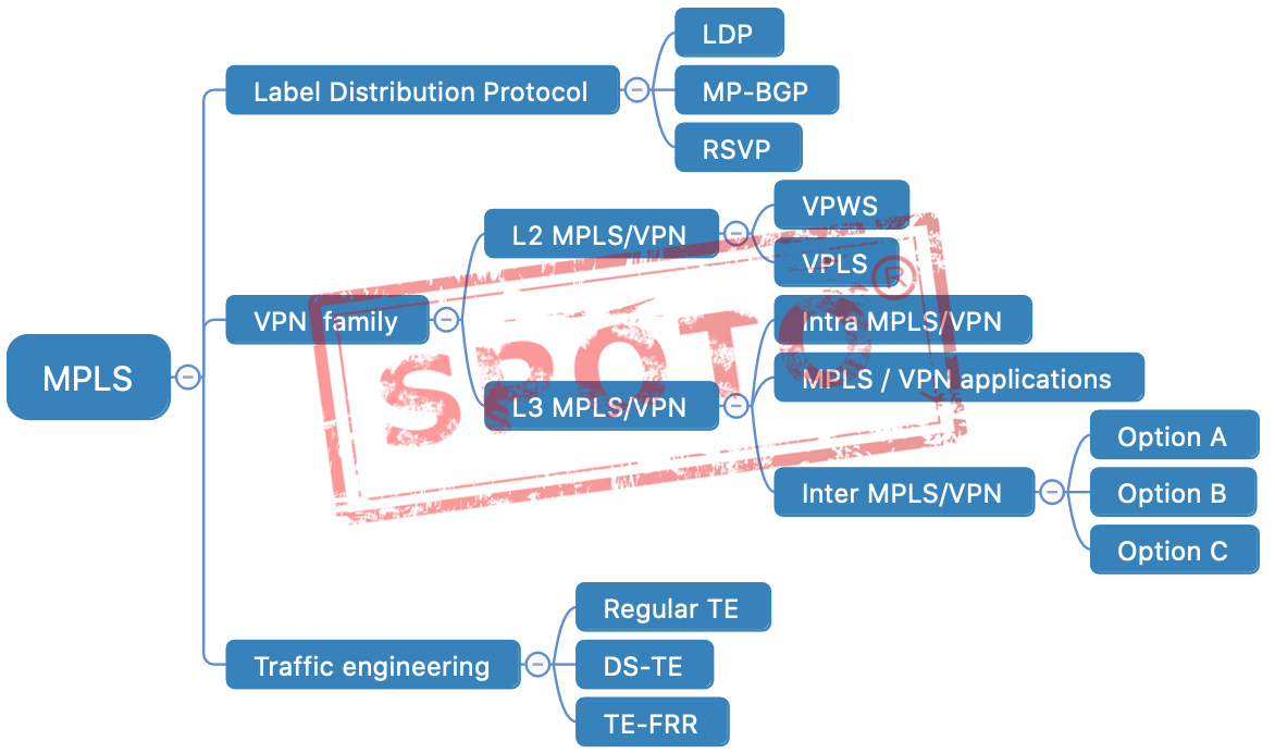 Overview of the Term MPLS - SPOTO Official Blog
