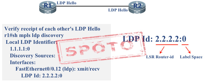 Mpls LDP router-id interface [force]