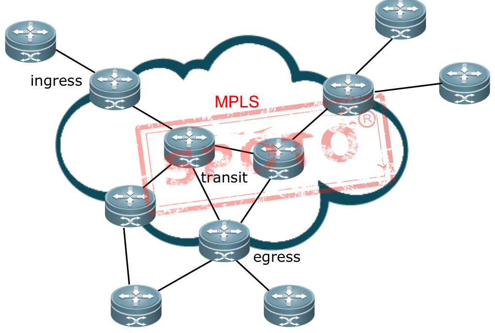MPLS network components