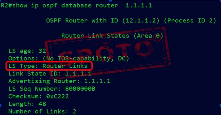 what-is-ospf-lsa-spoto-official-blog
