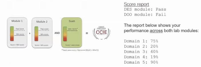 exam score report