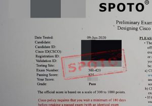 2020 Free Updated SPOTO Cisco 300-420 Exam Dumps for 100% Passing Sns-Brigh10