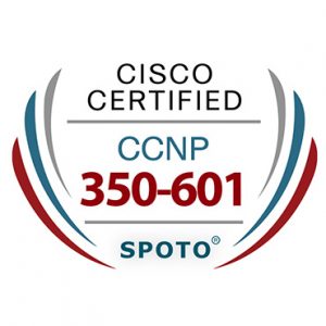 Free Download SPOTO CCNP Data Center 350-601 Exam Demo to Test Yourself Sns-Brigh10