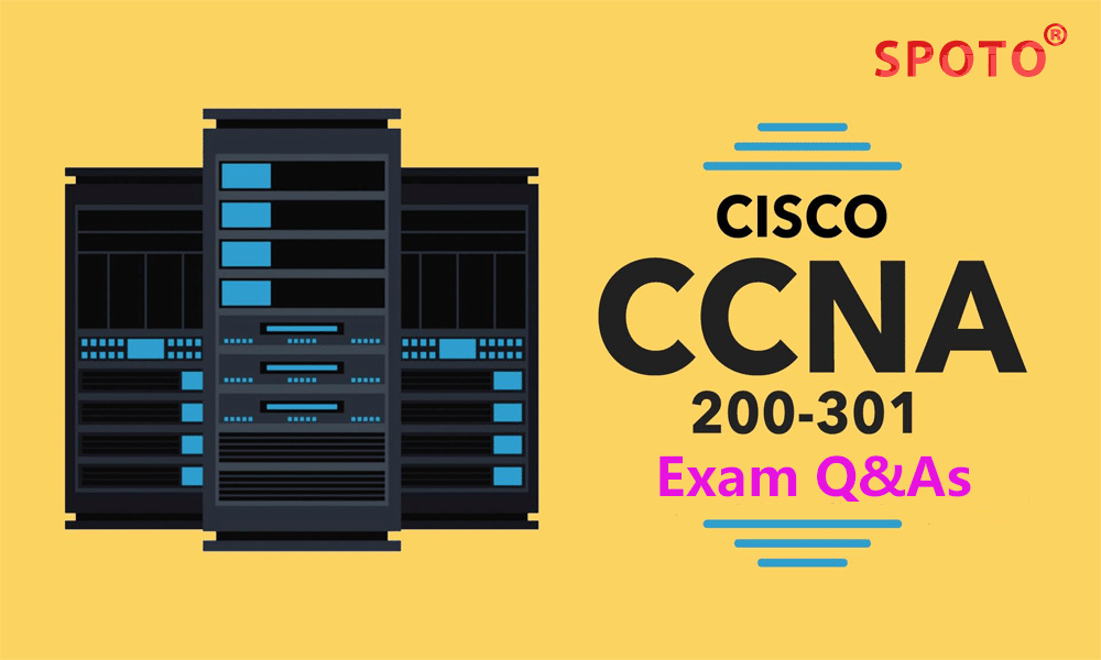 Try Online Free SPOTO CCNA 200-301 Exam Q&As - SPOTO Sns-Brigh10