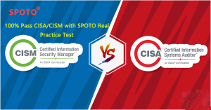 CISA Reliable Study Plan