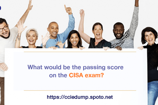 Valid CISA Test Sample