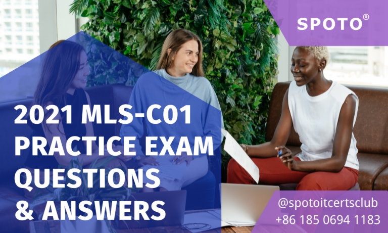 Valid MLS-C01 Exam Format