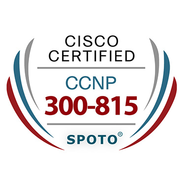 What Is Considered the Best Way of Preparing for the CCIE Sns-Brigh10