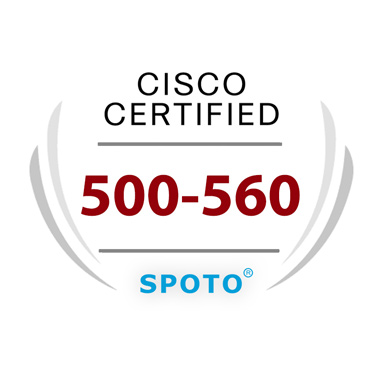 300-435 Hottest Certification