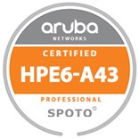 HPE6-A43 Exam Info-100% Pass With SPOTO