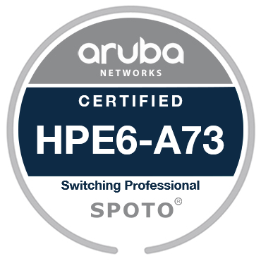 HPE6-A73 Exam Info-100% Pass With SPOTO