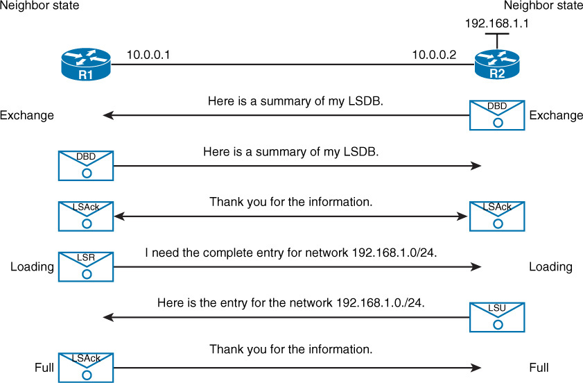 OSPF Database Exchange