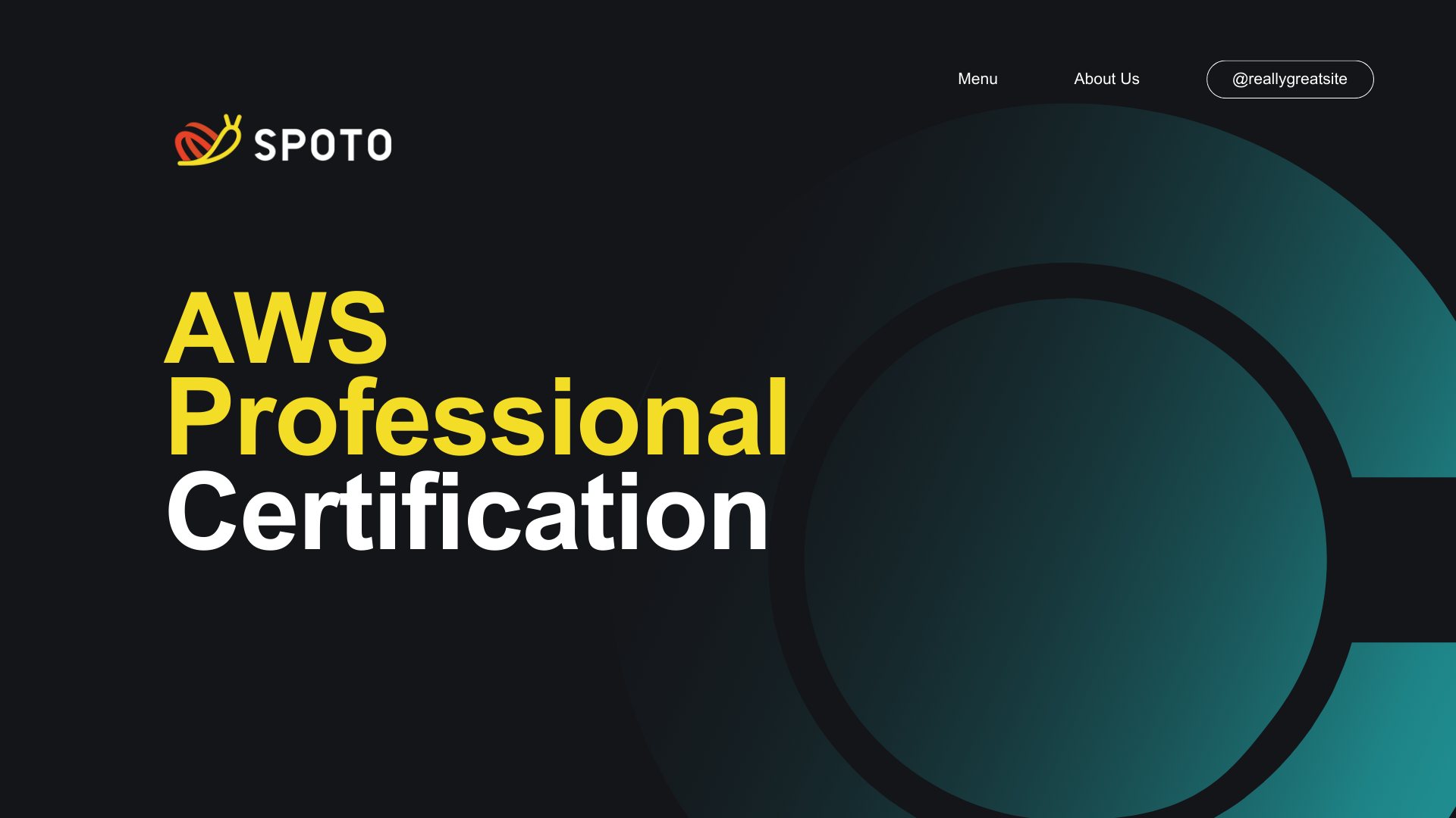 In-depth Understanding of AWS Professional Level Certifications