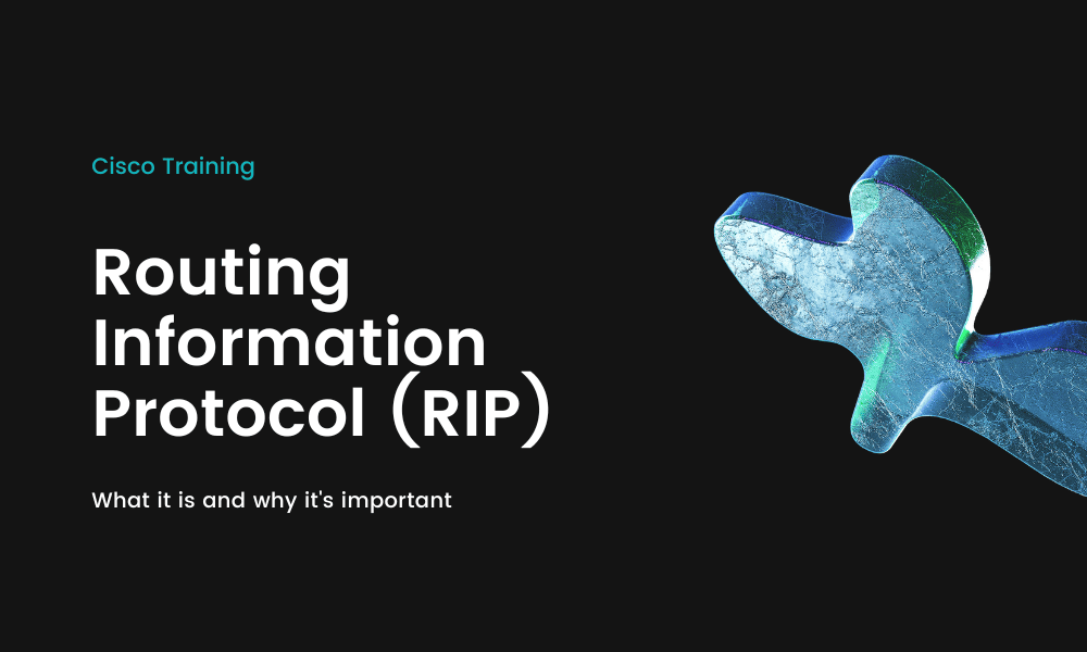 Configuring Routing Information Protocol (RIP)