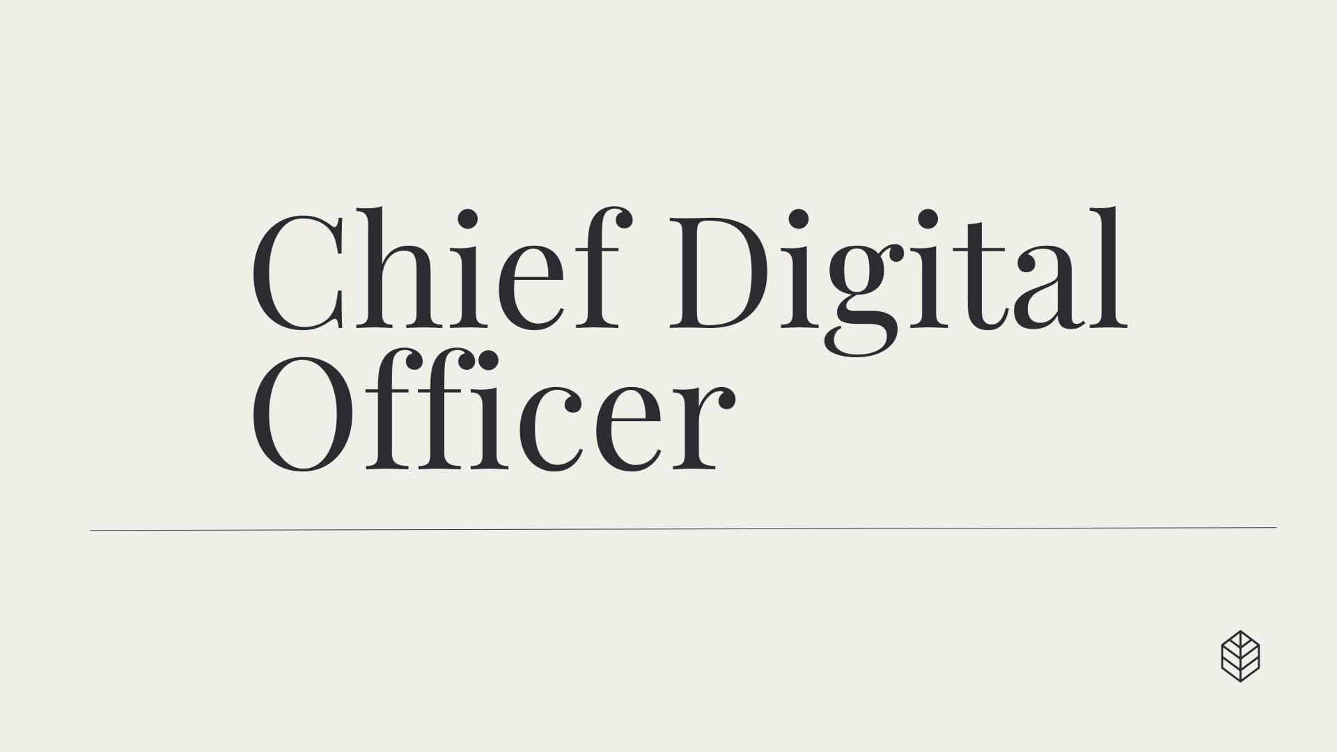 Career Introduction:Chief Digital Officer