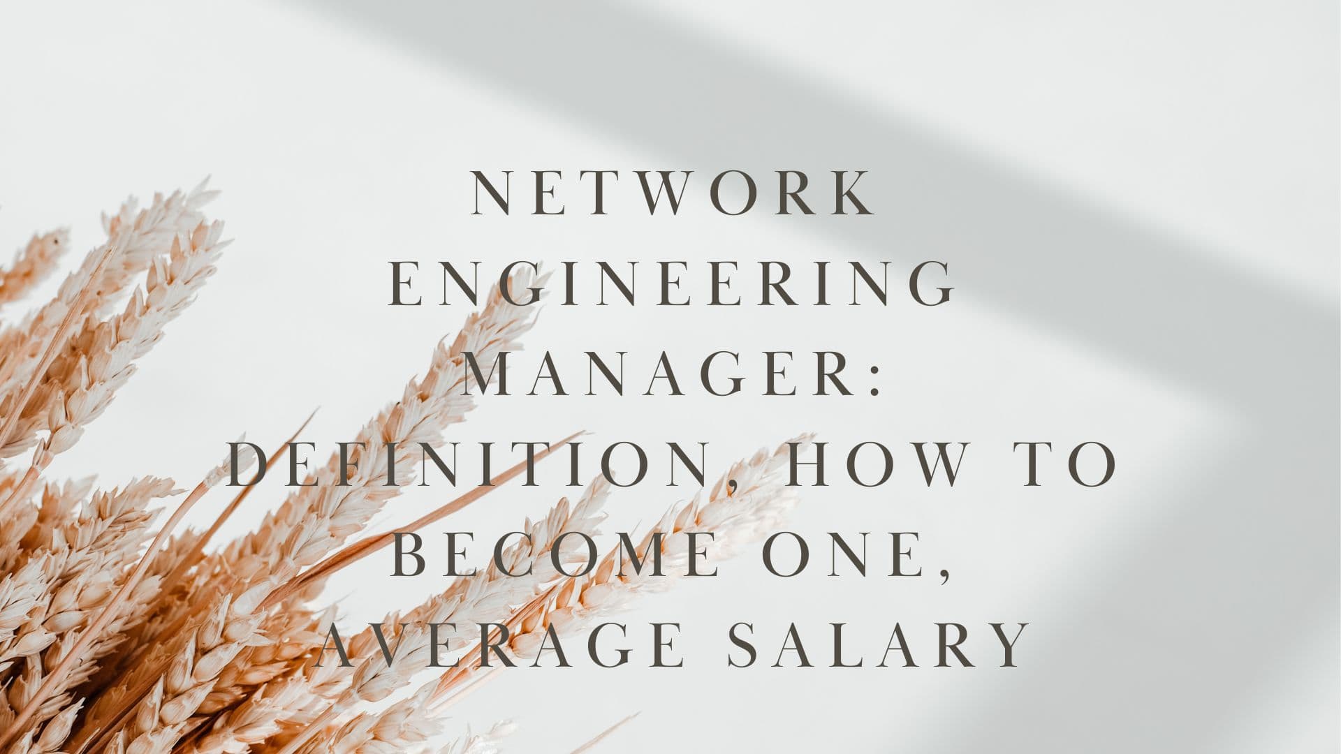 Network Engineering Manager: Definition, How to Become One, Average Salary