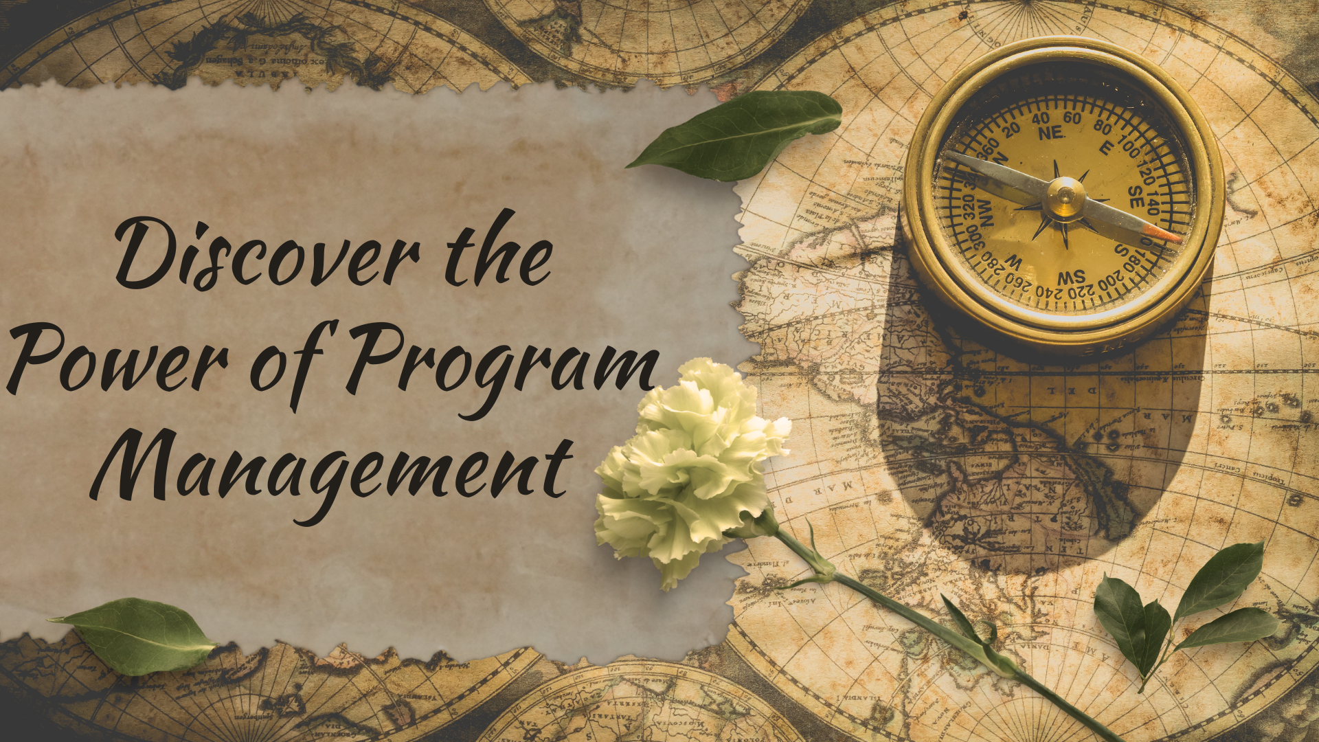 Discover the Power of Program Management