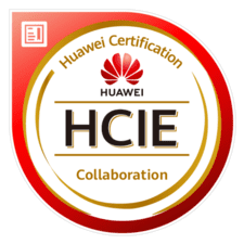 HCIE Collaboration Logo