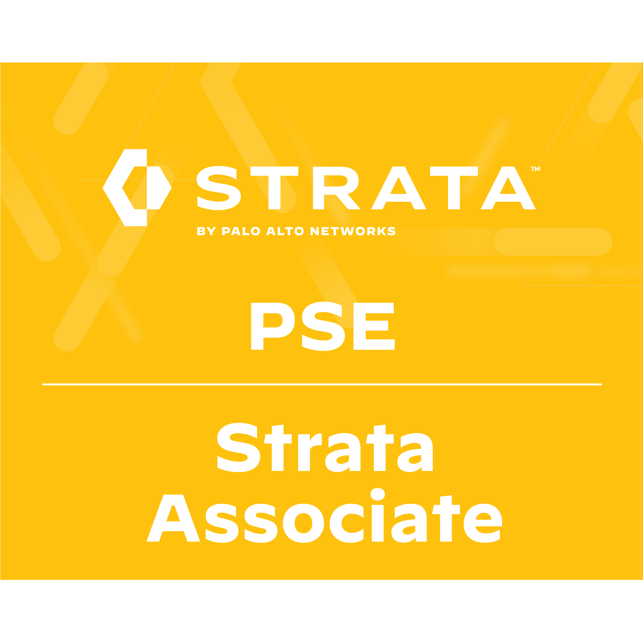 palo-alto-networks-pse-strata