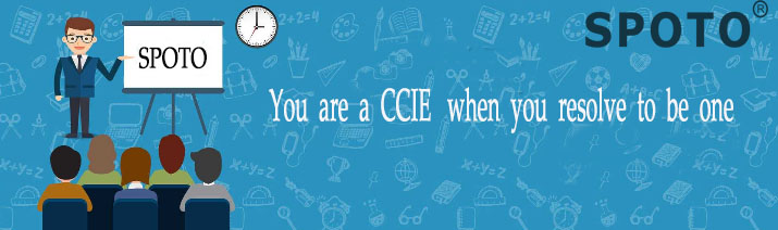 How long did you prepare for the CCIE RS lab exam