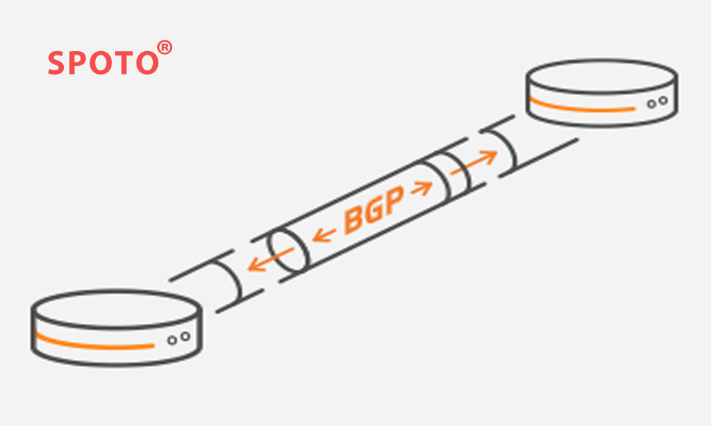 BGP / MPLS Layer 3 VPNs
